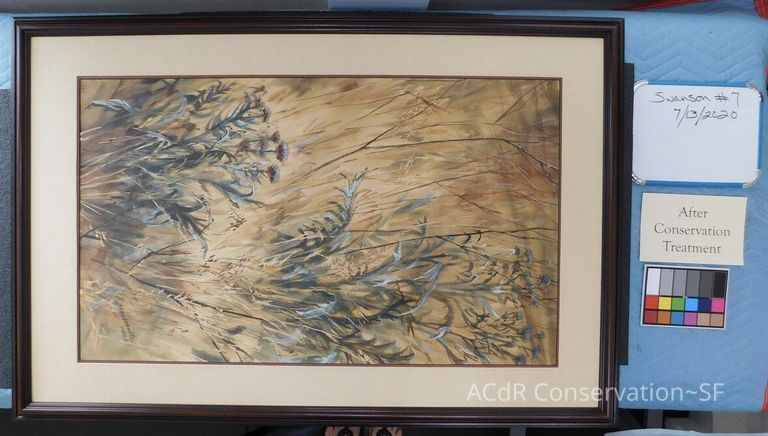 #7 - Grass and Thistles - Image 36