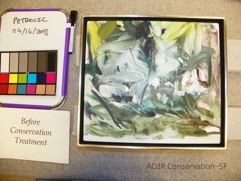          Jungle Flora picture number 1
