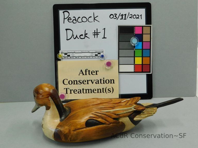          Wooden Duck picture number 1
