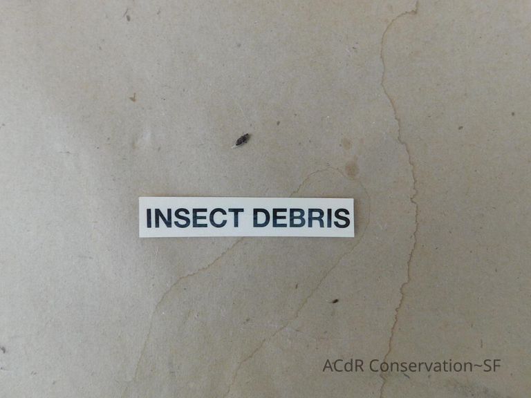 Santa Rosa of Lima - Image 11