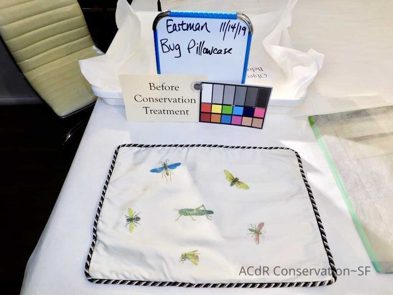 Insect Pillow - Image 4