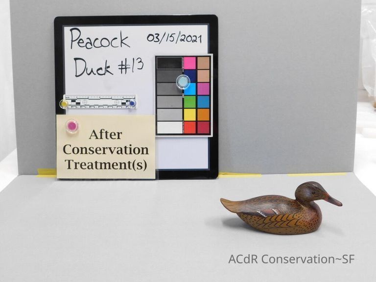          Wooden Duck picture number 1
