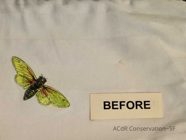 Insect Pillow - Image 7