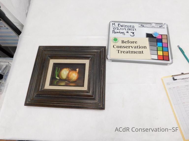          Onions still life picture number 1
