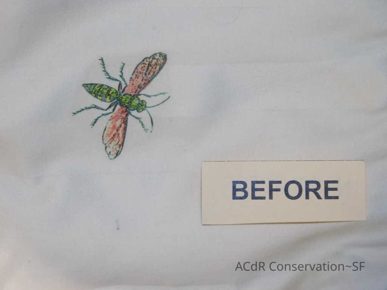 Insect Pillow - Image 9