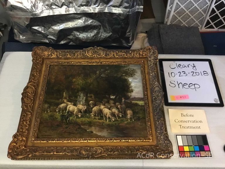          Sheep picture number 1
