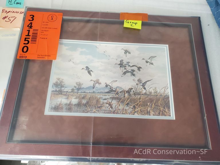          Birds flying over the marsh picture number 1
