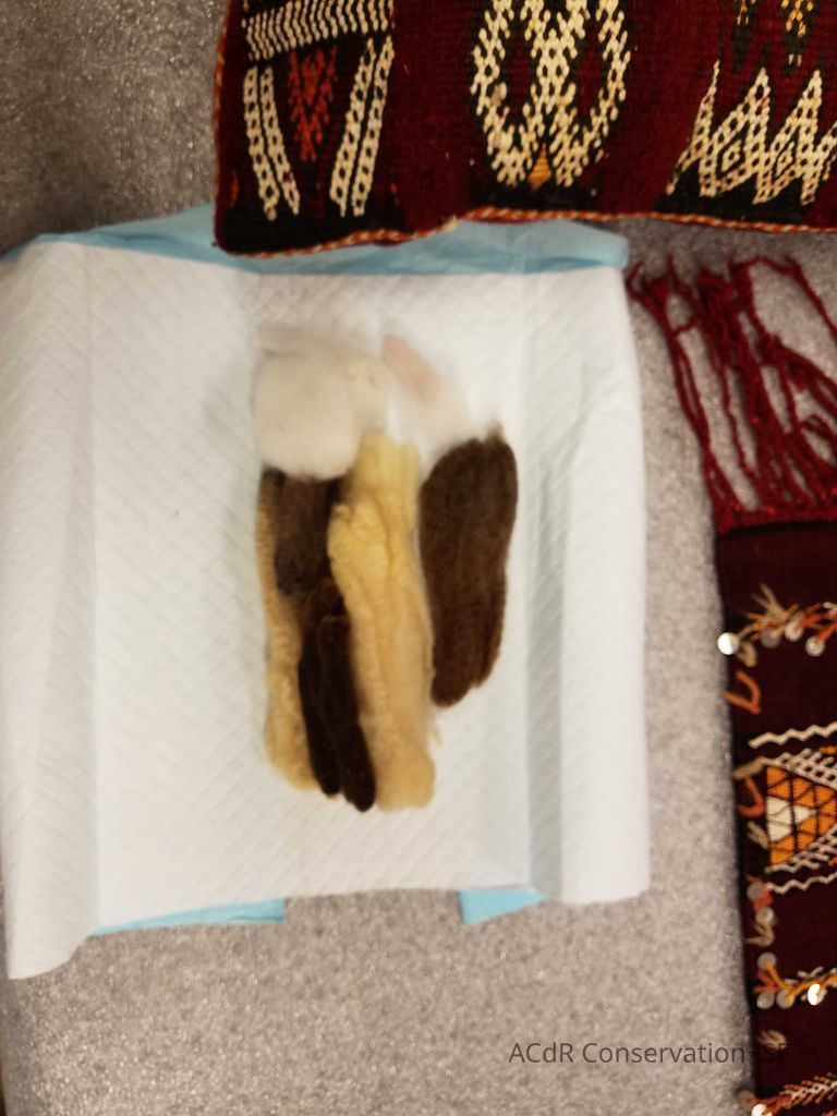 3 textiles and wool samples - Image 6