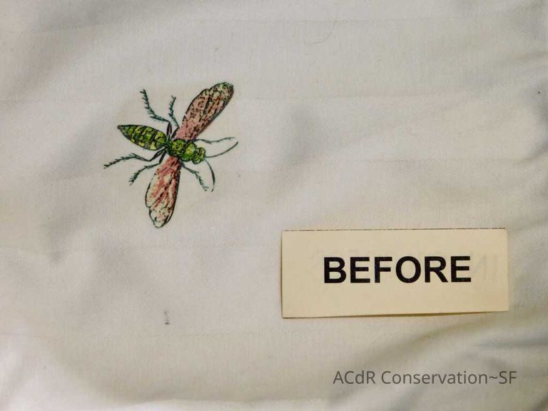 Insect Pillow - Image 10