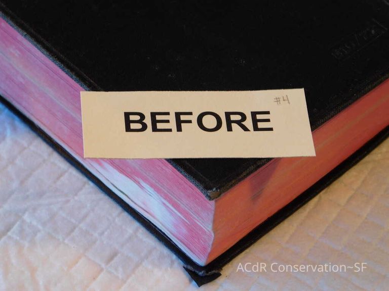 Daily Missal - Image 93