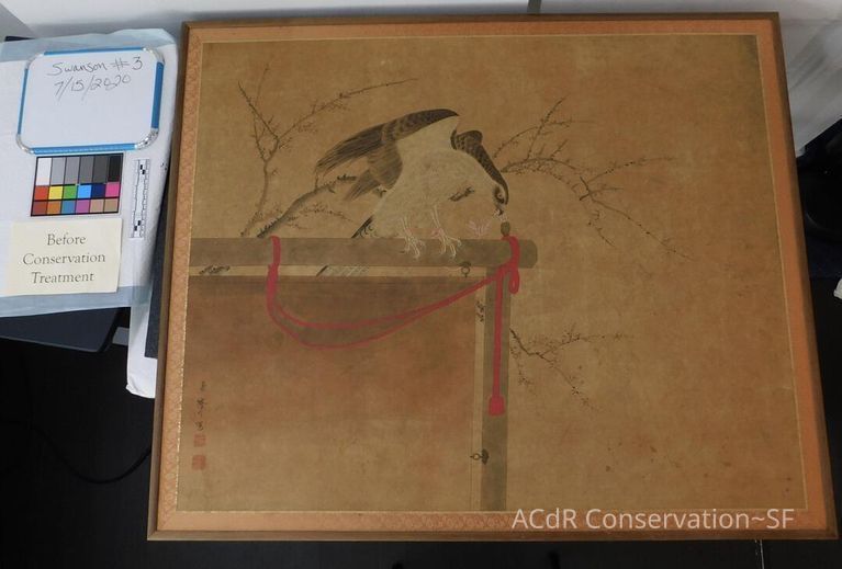 #3 - Falcon - Image 2