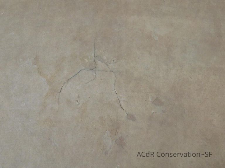 #3 - Falcon - Image 3