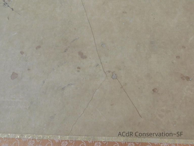 #3 - Falcon - Image 4