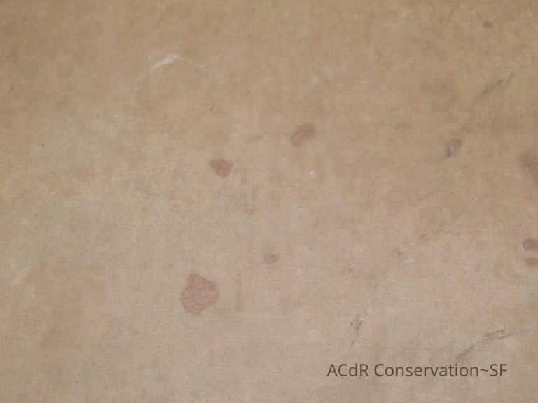 #3 - Falcon - Image 5