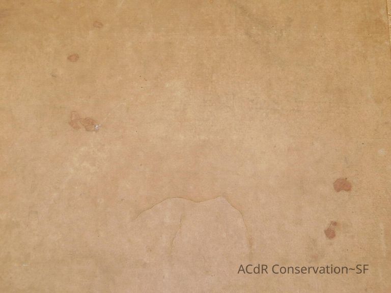 #3 - Falcon - Image 6