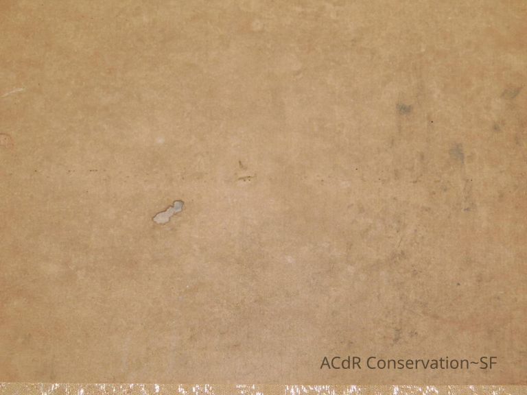 #3 - Falcon - Image 7