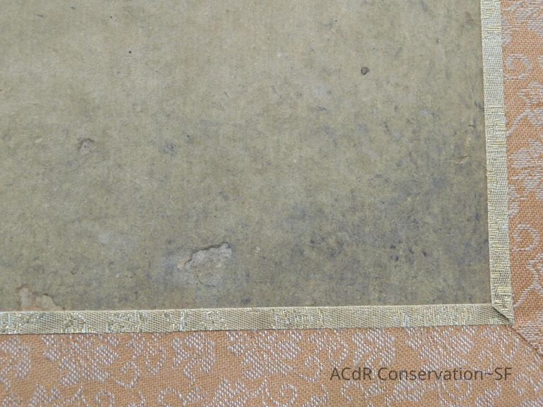 #3 - Falcon - Image 8