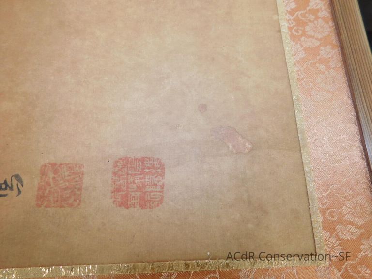 #3 - Falcon - Image 9