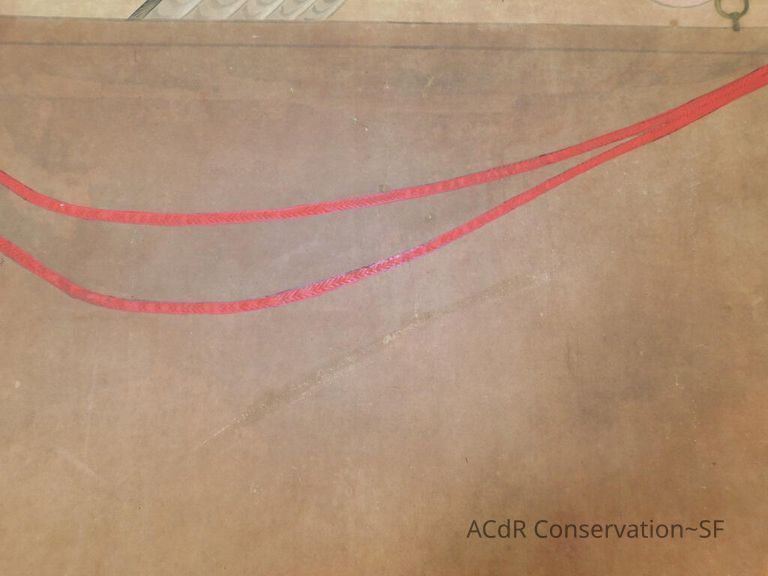 #3 - Falcon - Image 10