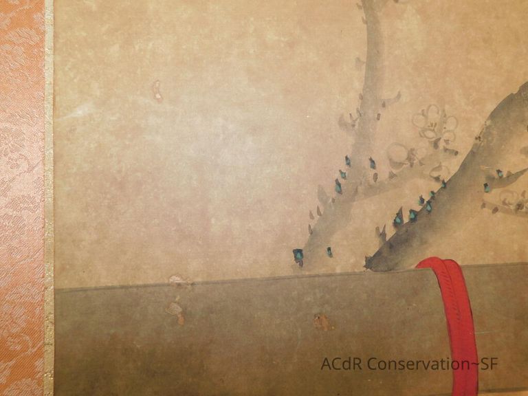 #3 - Falcon - Image 11