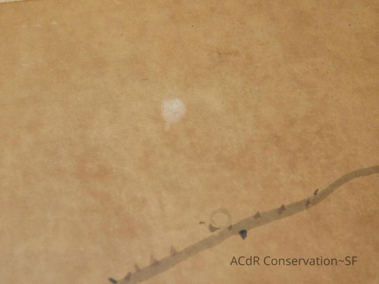 #3 - Falcon - Image 13