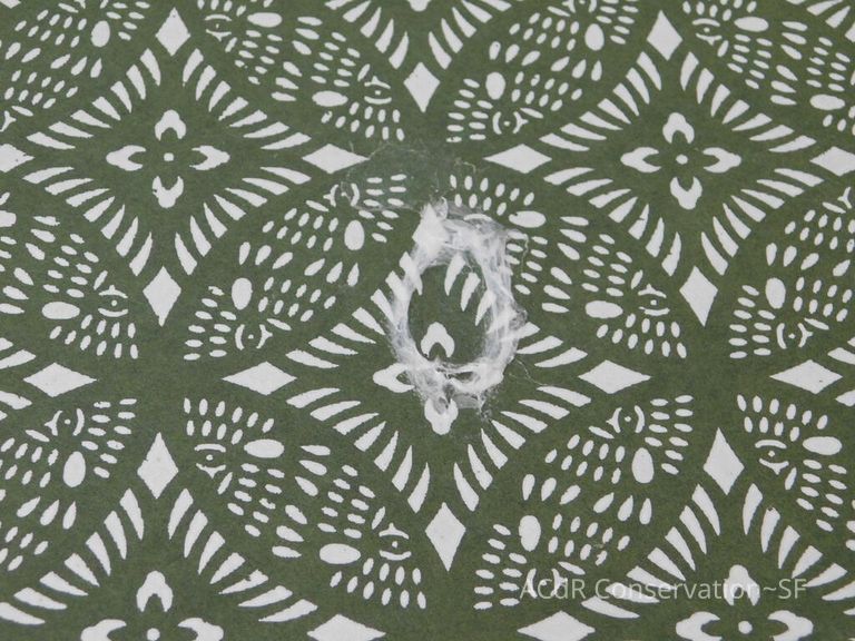 #3 - Falcon - Image 17