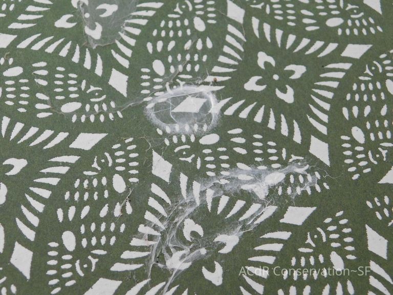 #3 - Falcon - Image 20