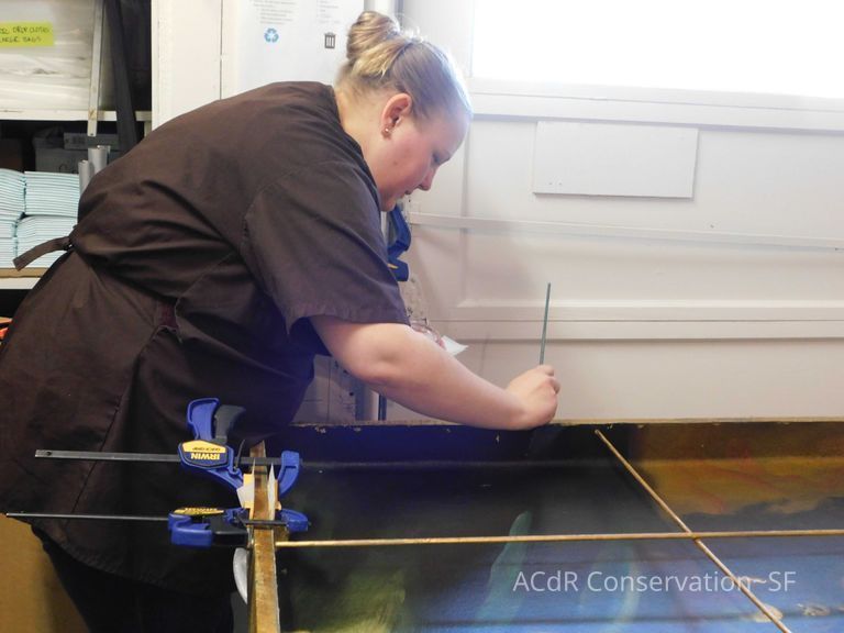 The Gilded Cage  - Image 12