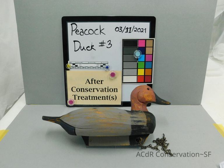          Wooden Duck picture number 1
