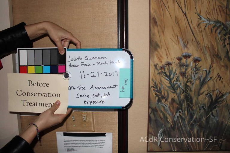 Collection Assessment - Image 19