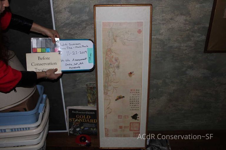 Collection Assessment - Image 25