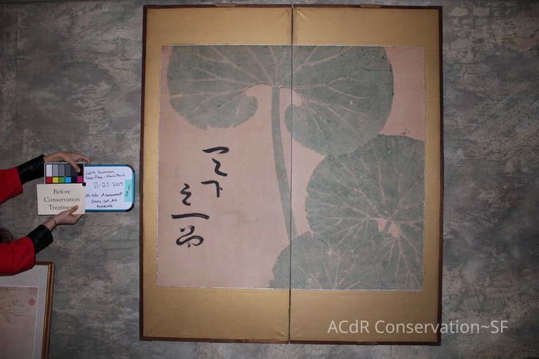 Collection Assessment - Image 27