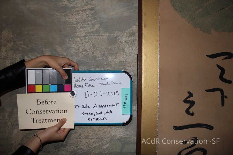 Collection Assessment - Image 28