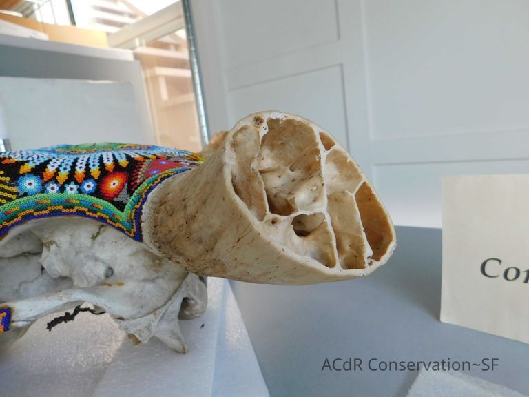 Mexican Beaded Skull - Image 12