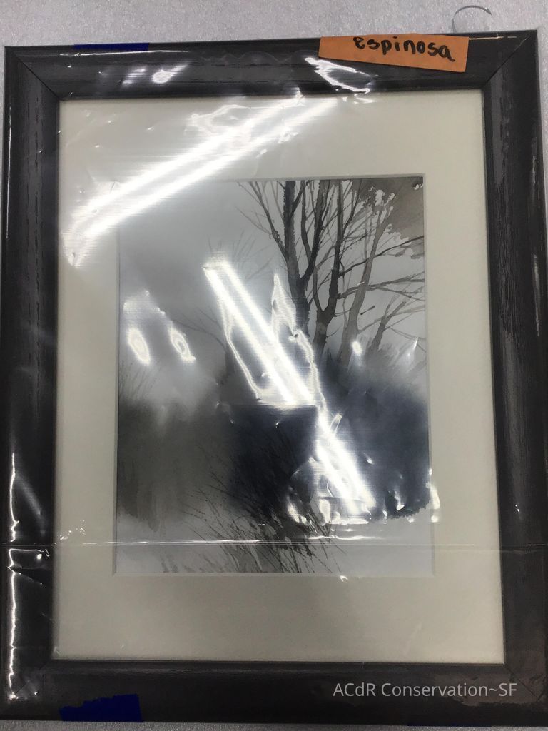          Snowy trees picture number 1
