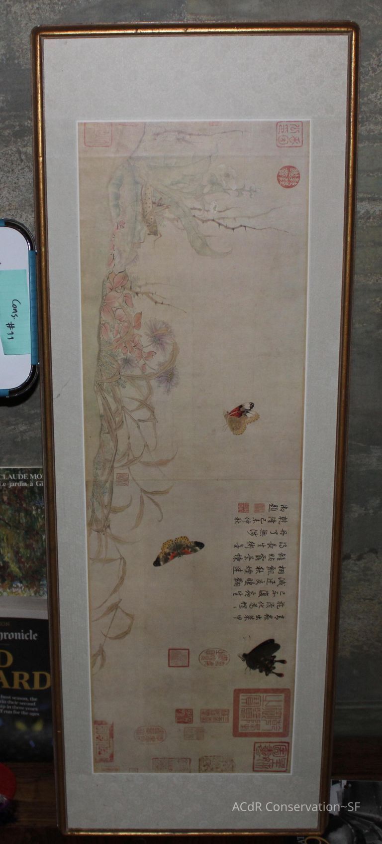          #11 - Butterflies picture number 1
