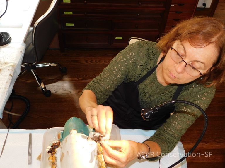          Gail picture number 1
