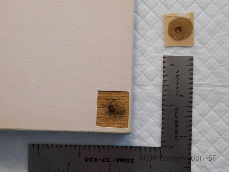 Japanese painting  - Image 20