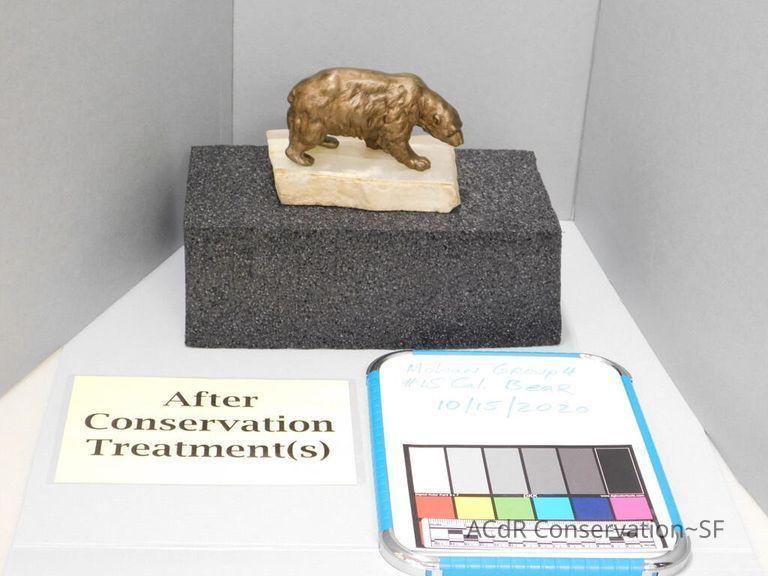          Bear picture number 1
