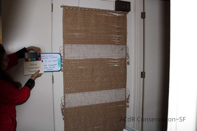 Collection Assessment - Image 29