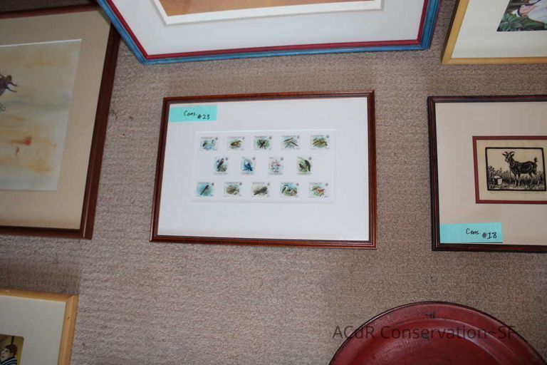 Collection Assessment - Image 35