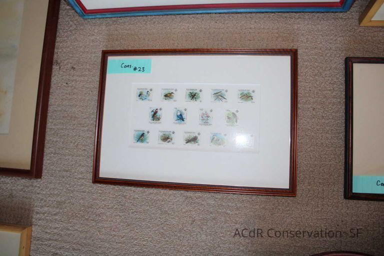 Collection Assessment - Image 36