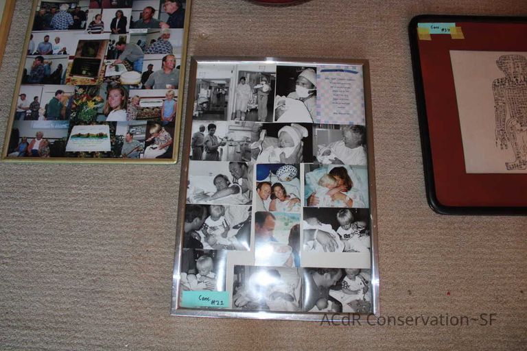 Collection Assessment - Image 40