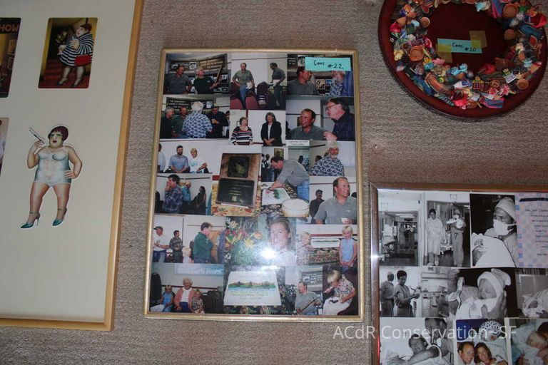 Collection Assessment - Image 41