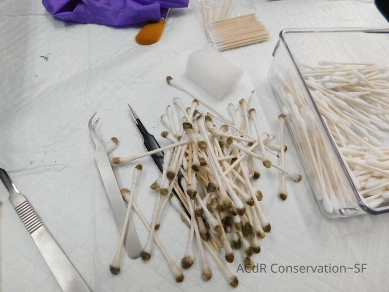 Korean Paper boxes (6 nesting) - Image 32