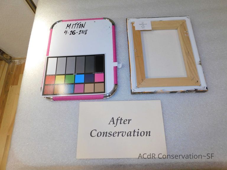 Dog splashing in the water - Image 4