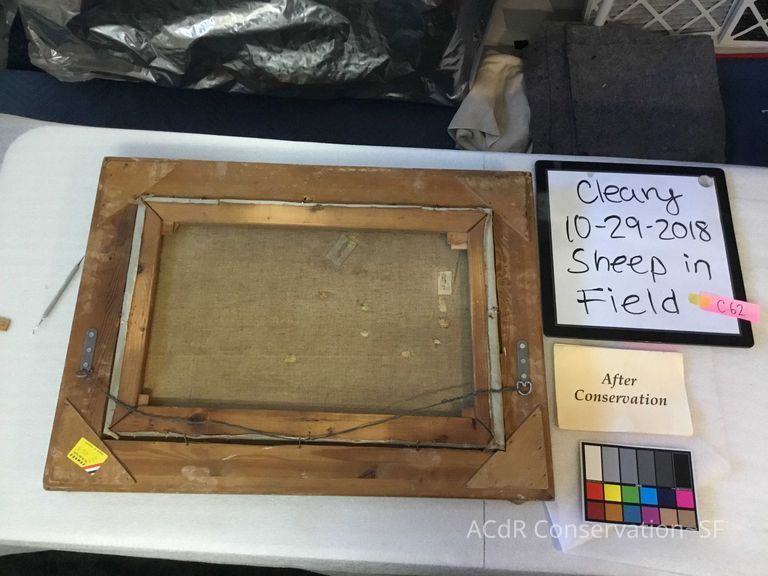 Sheep in field - Image 3