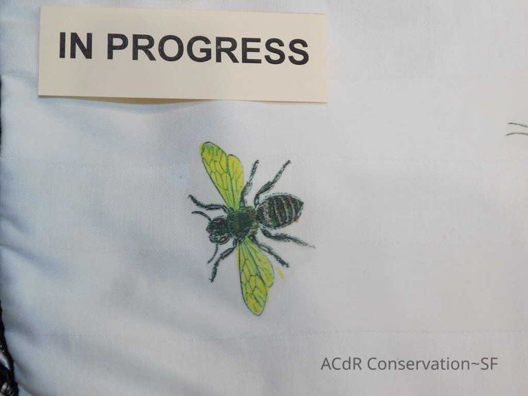 Insect Pillow - Image 21