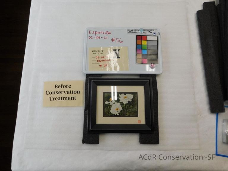          Three white flowers picture number 1
