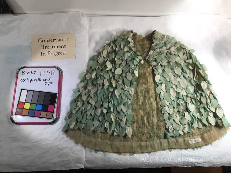          Leaf Capelet picture number 1
